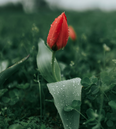 The Hidden Costs That Kill Early-Stage Products